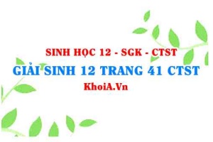 Giải Sinh 12 trang 41 Chân trời Sáng tạo
